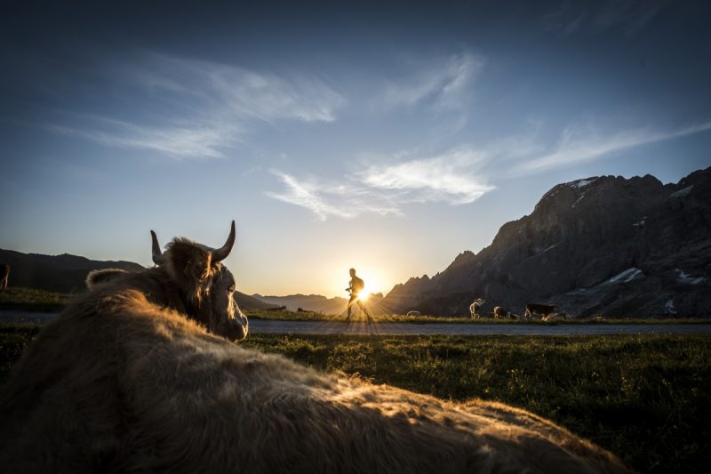 On Connait Enfin Les 20 Premières Dates Du Calendrier De L Utmb World 