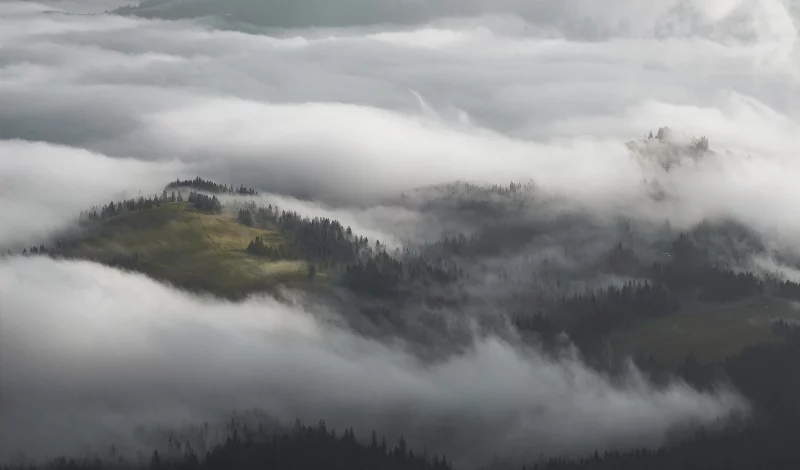 A Wild Education: A Family’s Fight to Save the Carpathian Mountains from Illegal Logging