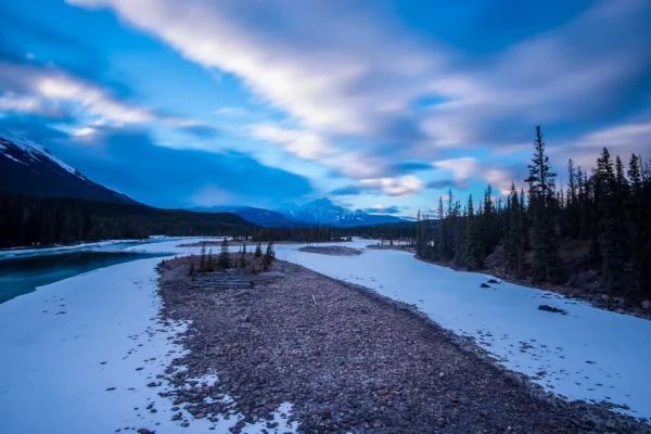 Forêt rocheuse Canada