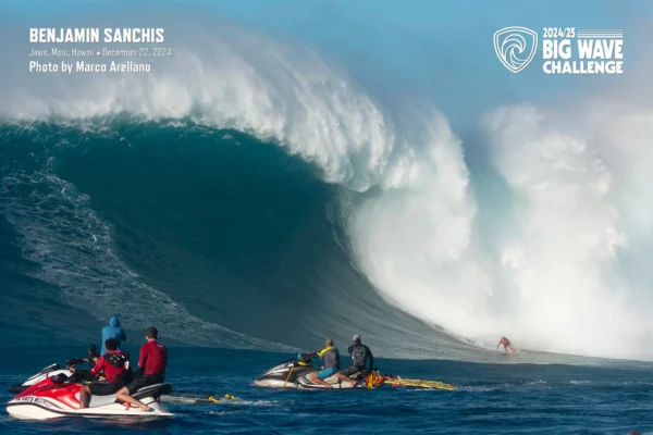 Benjamin Sanchis Jaws décembre 2024